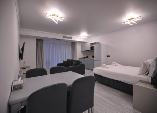 Studio cu vedere la oras